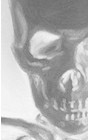 skull.jpg (6262 bytes)